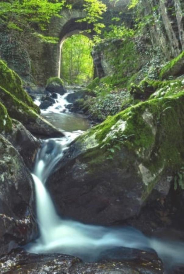 Le Parc Des 4 Saisons Panzió Corrèze Kültér fotó