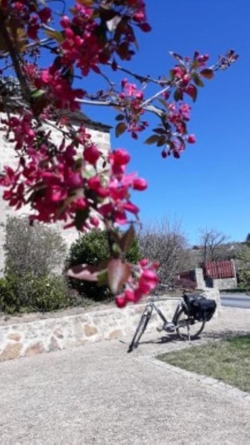 Le Parc Des 4 Saisons Panzió Corrèze Kültér fotó