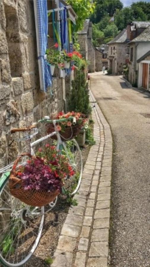 Le Parc Des 4 Saisons Panzió Corrèze Kültér fotó
