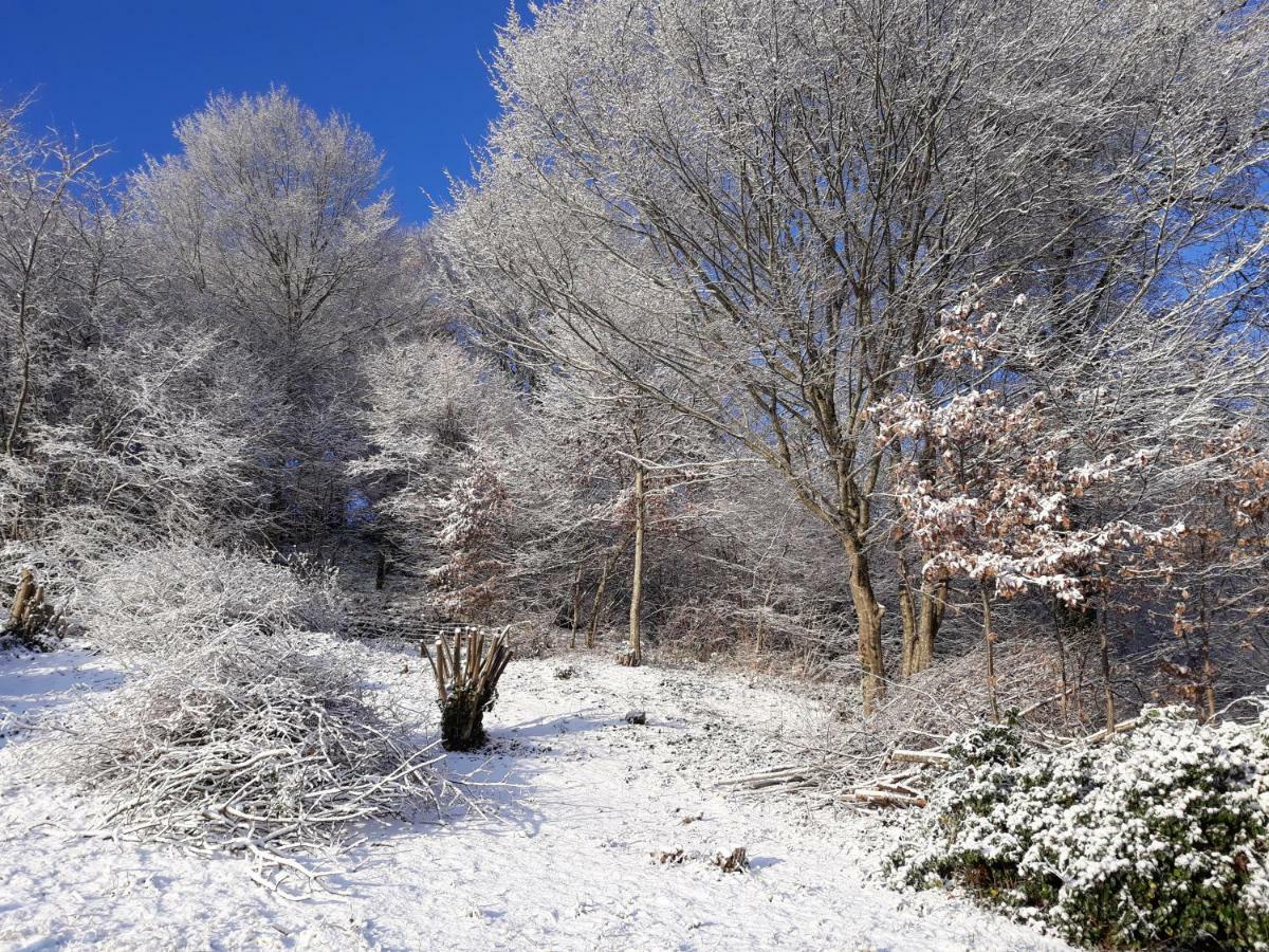Le Parc Des 4 Saisons Panzió Corrèze Kültér fotó