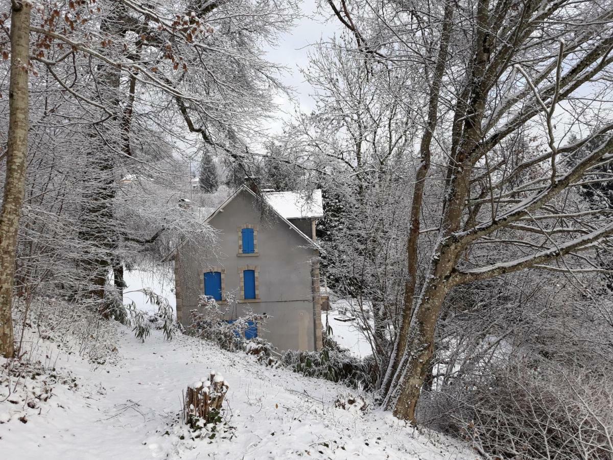 Le Parc Des 4 Saisons Panzió Corrèze Kültér fotó